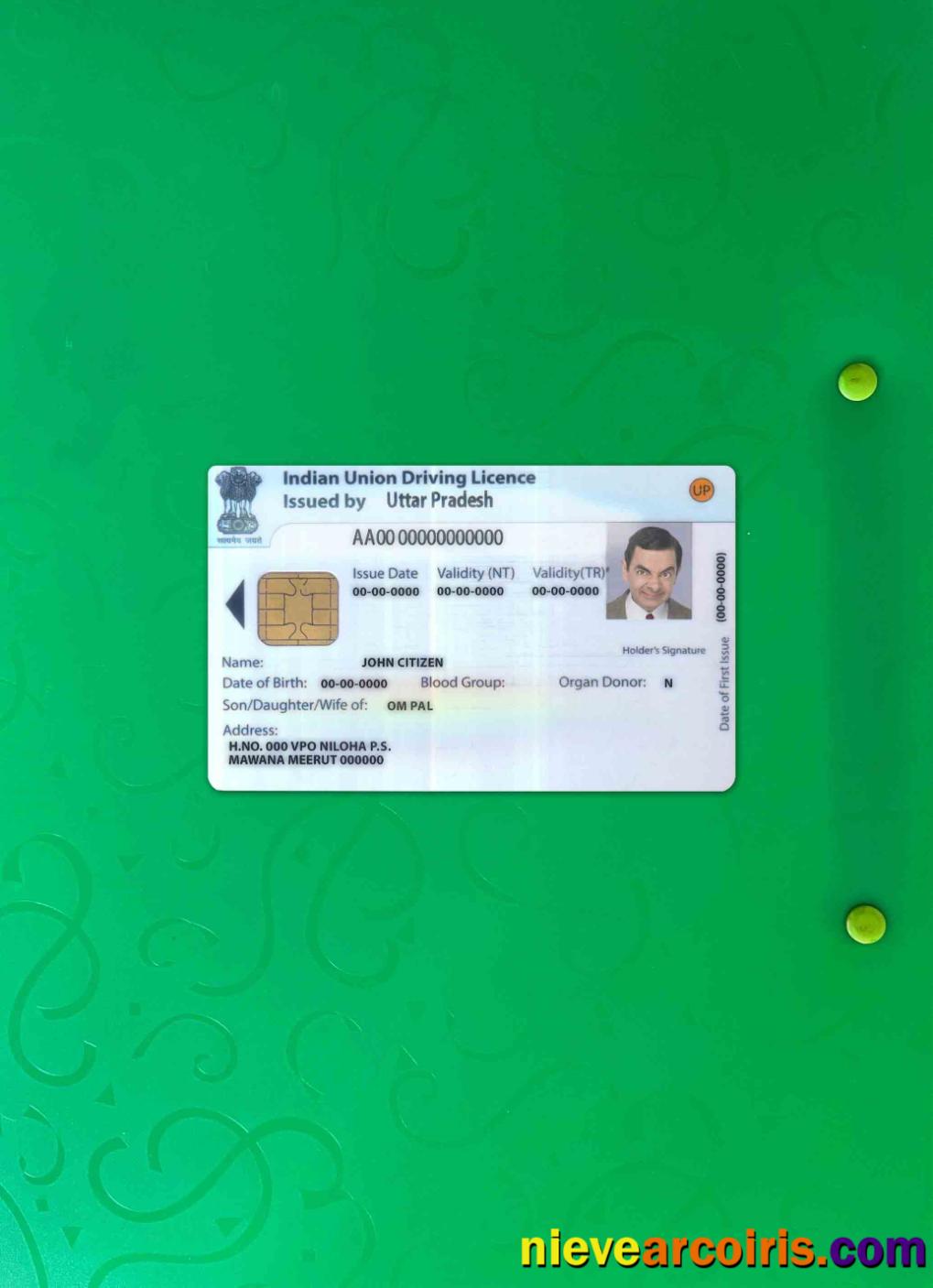 Indian Union driving license photolook